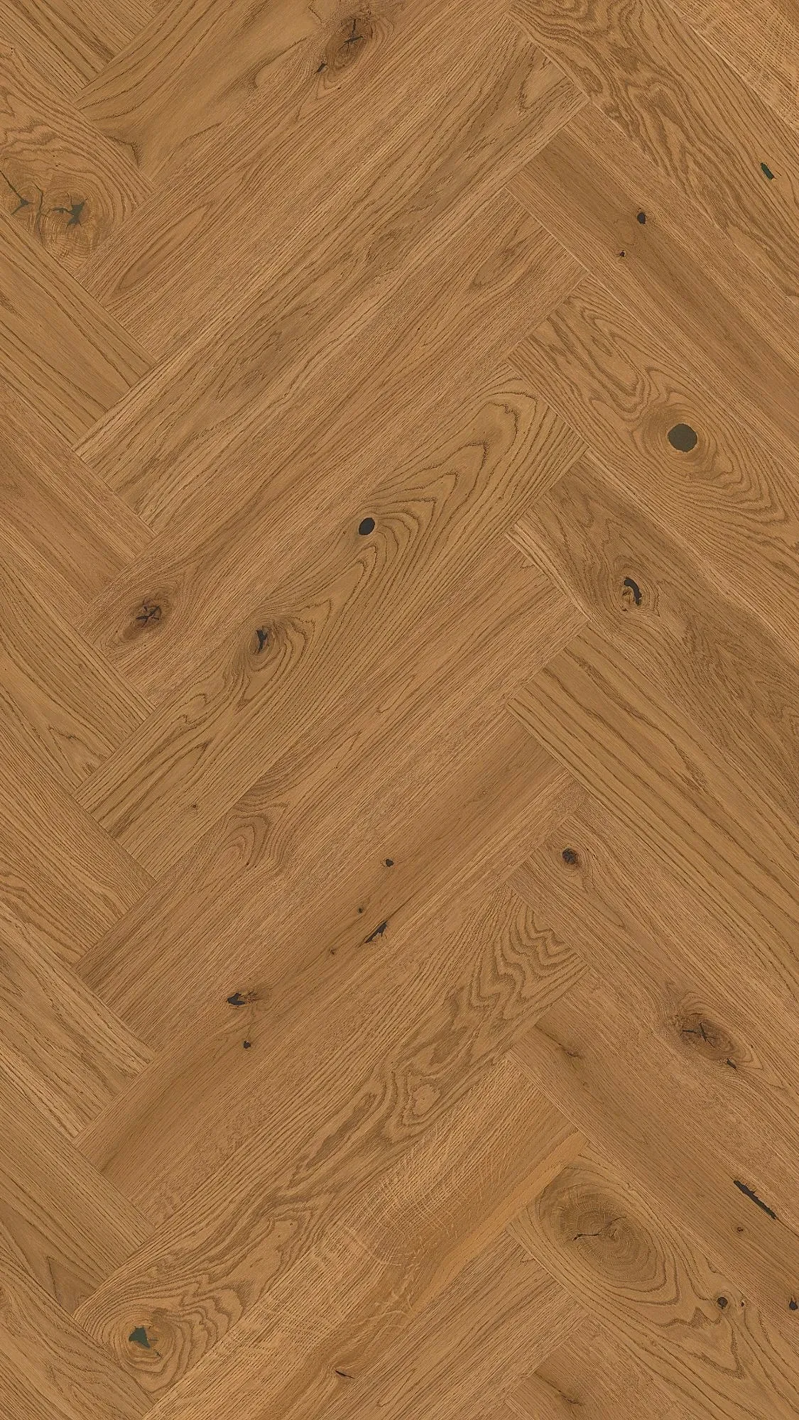 Erona Warm - FPHB0202-BON - 2