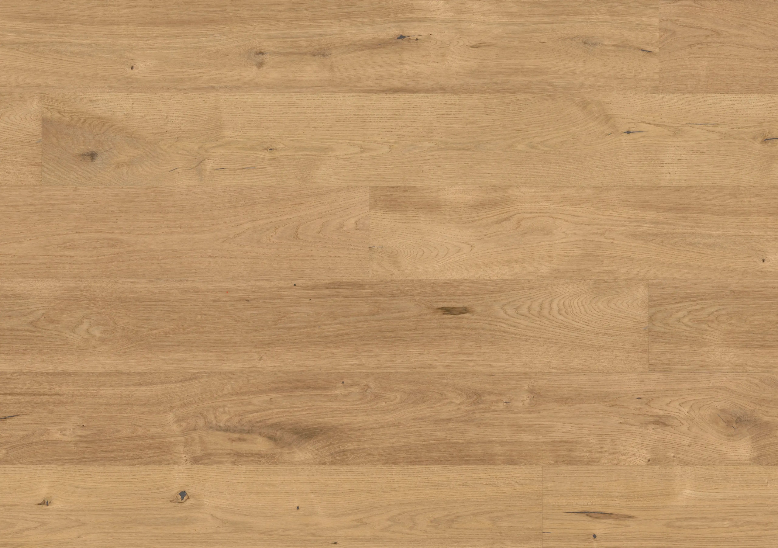FPLHD-0399_BCO-Pure-Wood-lebhaft-oel
