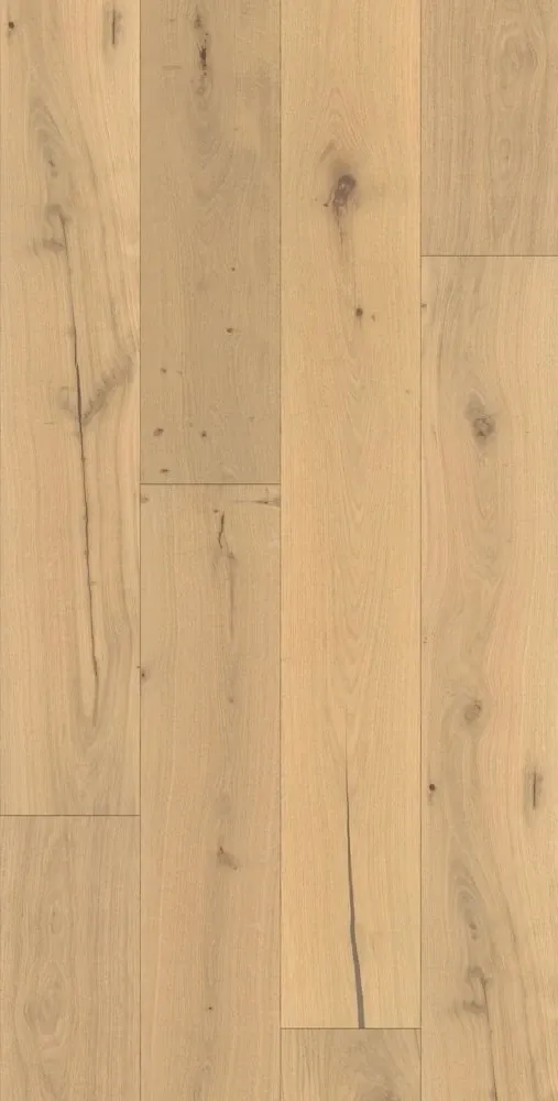 Brion Nature - FPLHD0220-LHM - 4