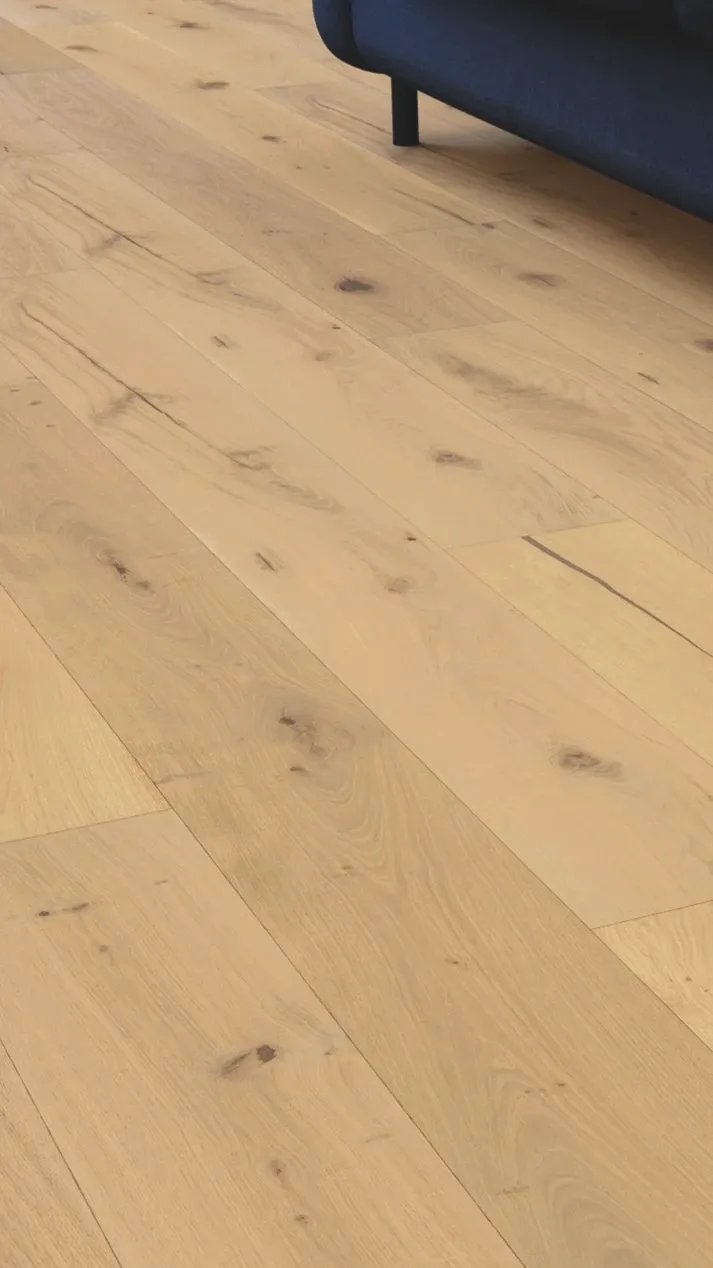 Brion Nature - FPLHD0220-LHM - 1