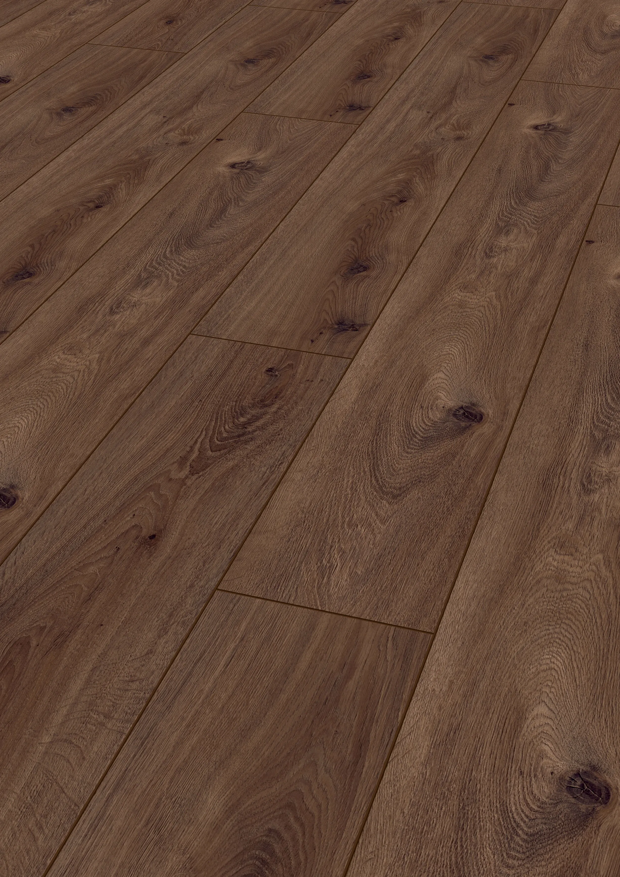 Dark Forest Floor - LA-LHD0104-KRO - 3