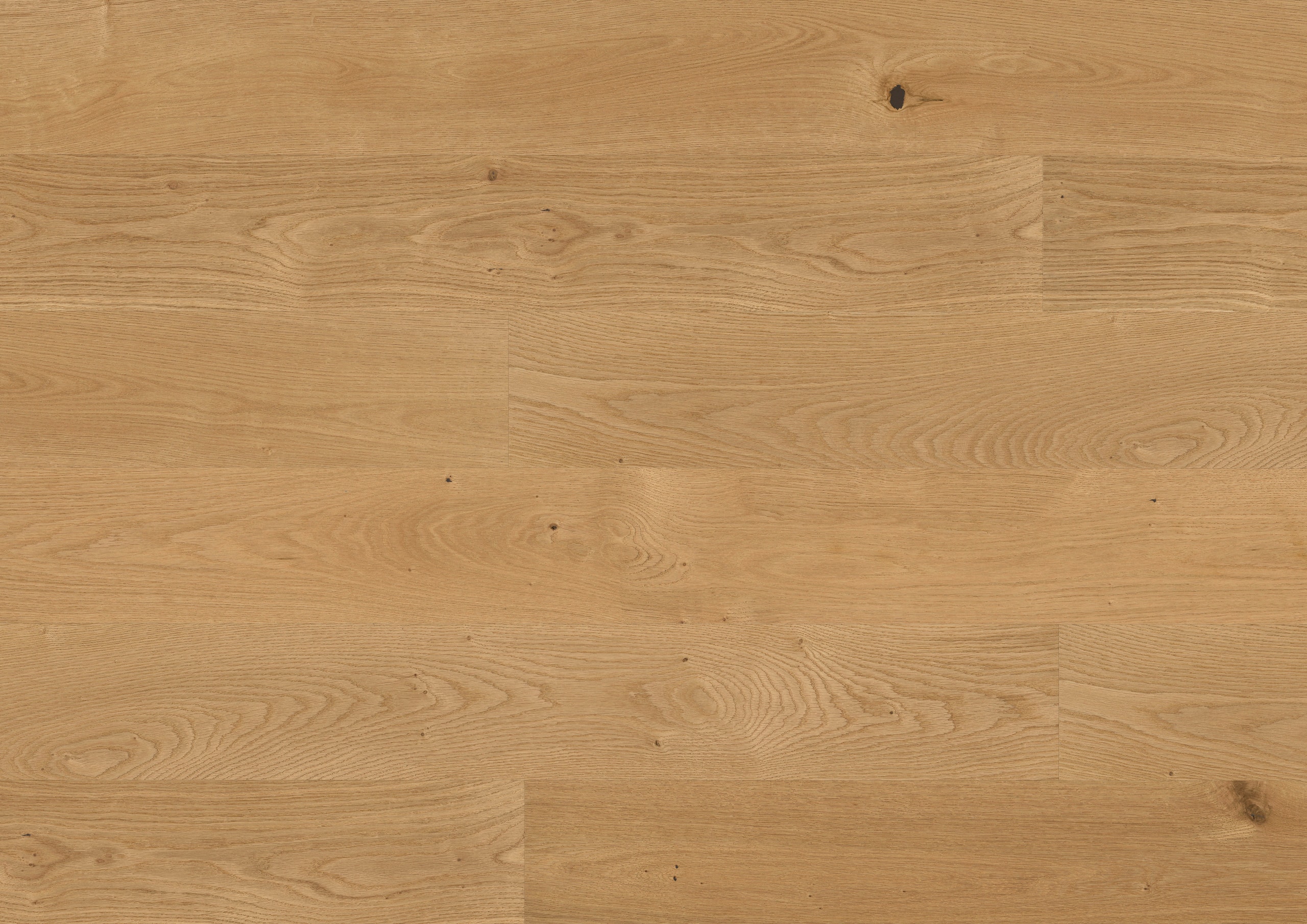 nature-toch-FPLHD0378-BCO-1